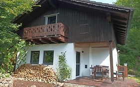 Burgberg Schöllnstein